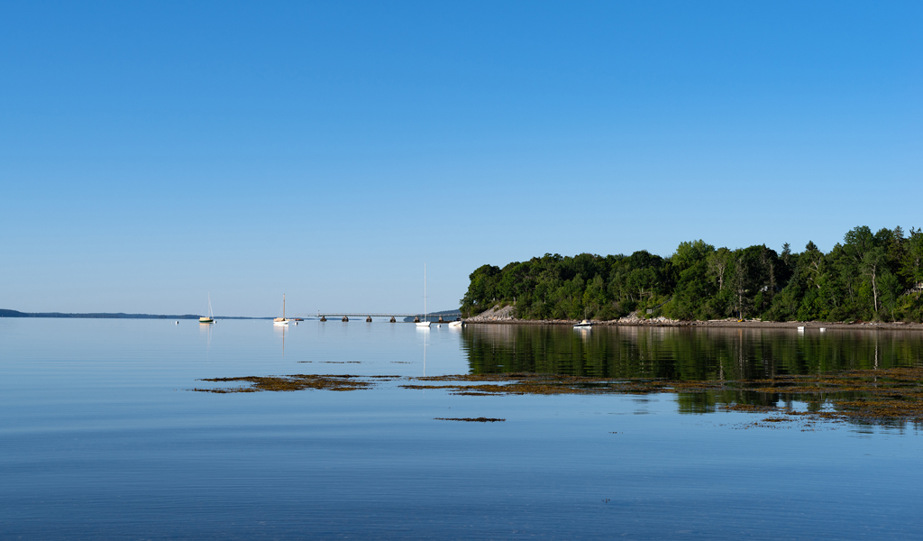 Image of Searsport, Maine showing trees, water, and blue sky with a few sailboats