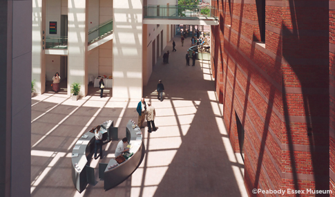 Sun-filled glass-roofed interior of atrium at Peabody Essex Museum.