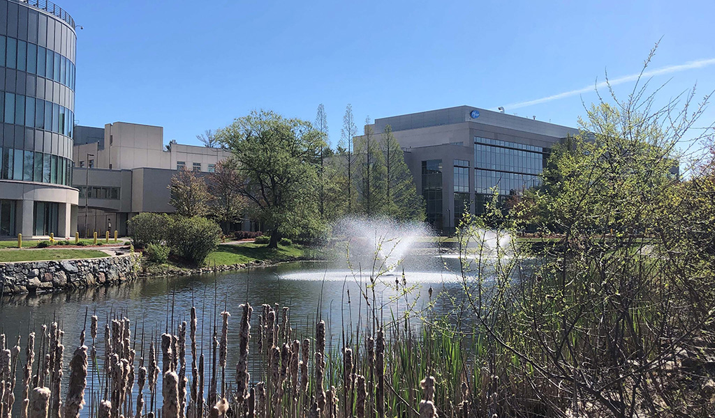 Water fountain at the Pfizer campus in Andover, Massachusetts.