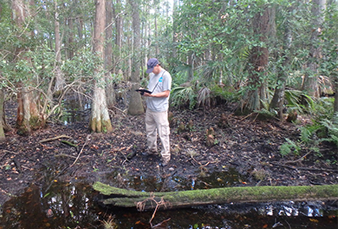 A man makes notes on a table about wetland conditions.