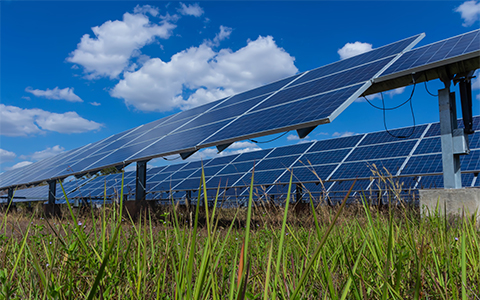 solar panels in a field