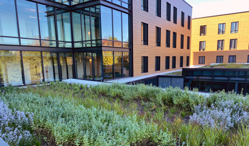 Brown University Health & Wellness Center Green Roof