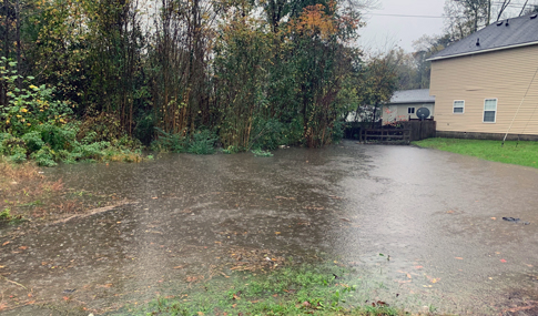 Backyard of home flooded with leaves and debris.