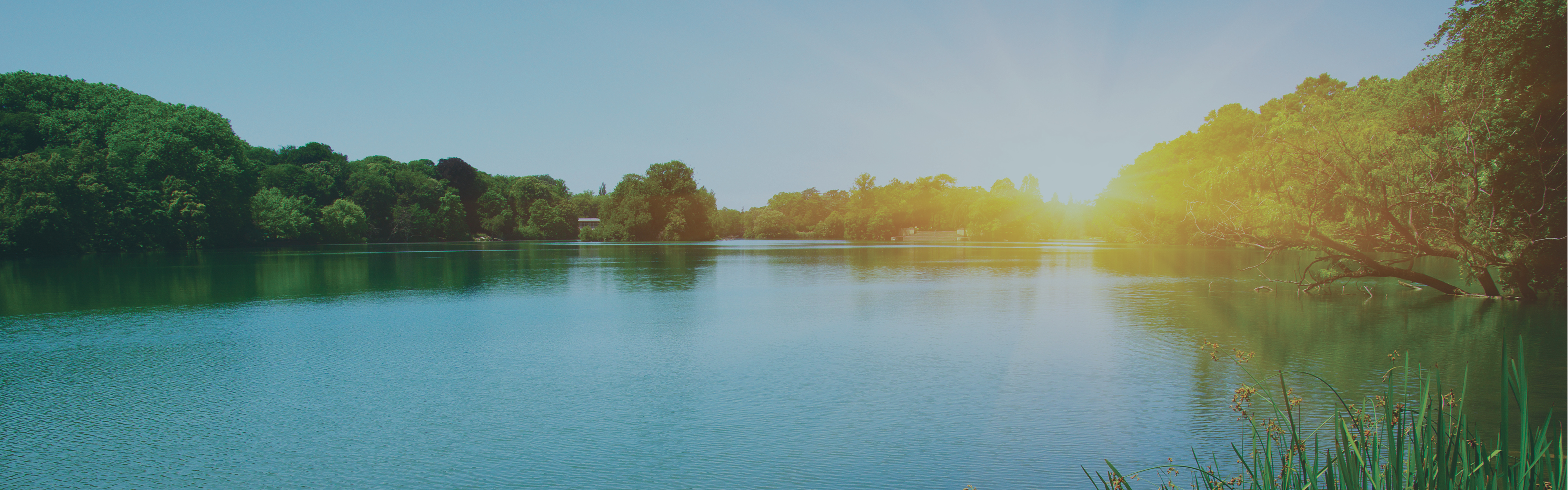 A body of water surrounded by trees with the sun rising. 